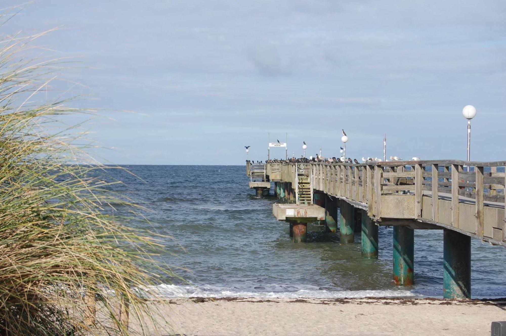 Ferienwohnung Mit Ostseeblick In Rerik Bagian luar foto